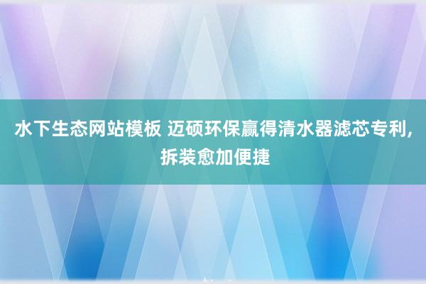 水下生态网站模板 迈硕环保赢得清水器滤芯专利， 拆装愈加便捷