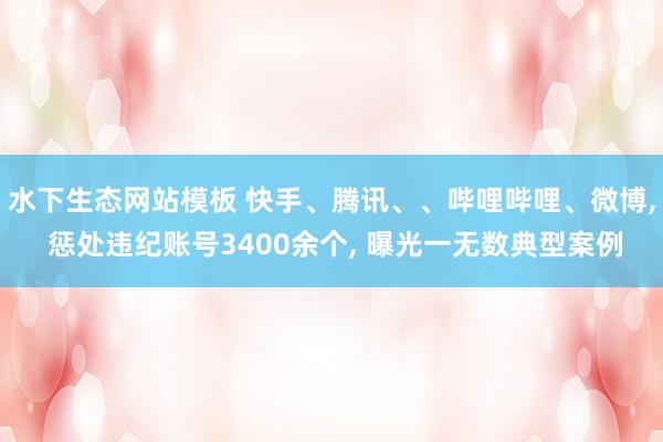 水下生态网站模板 快手、腾讯、、哔哩哔哩、微博， 惩处违纪账号3400余个， 曝光一无数典型案例