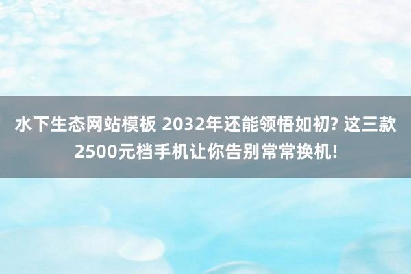 水下生态网站模板 2032年还能领悟如初? 这三款2500元档手机让你告别常常换机!